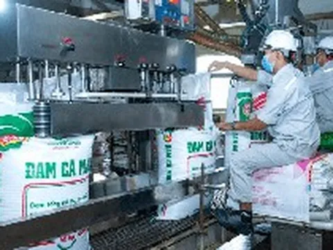 Loạt lãnh đạo Đạm Cà Mau (DCM) nhận thù lao “khủng”, có người bình quân vượt 1 tỷ đồng mỗi tháng