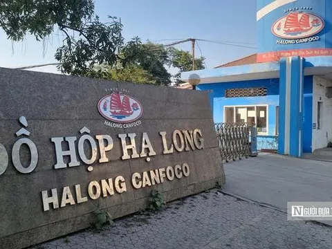 Sau vụ 130 tấn heo nhiễm dịch, Đồ hộp Hạ Long tiếp tục chìm trong thua lỗ