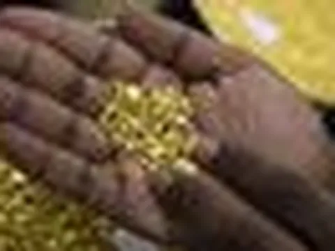 Tịch thu hơn 12,5 kg vàng trị giá gần 311 tỷ đồng ngay trên một chiếc xe khách Trung Quốc