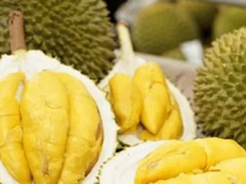 Có 50 cơ sở kiểm nghiệm được GACC chấp nhận phục vụ xuất khẩu mít, sầu riêng