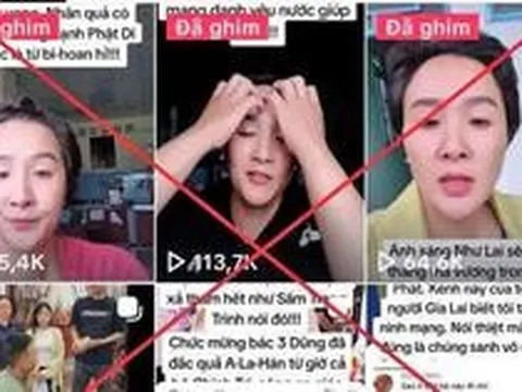 Bắt giam nữ TikToker Phượng Nguyễn