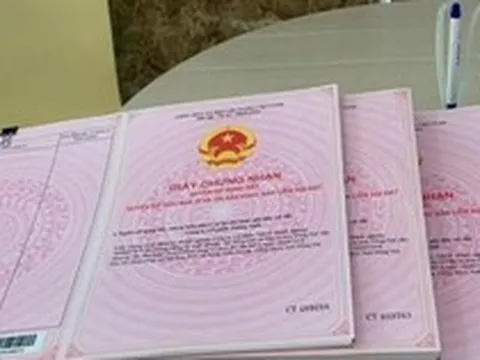 Đất nhận chuyển nhượng lâu năm, mất giấy tờ gốc: Làm sao để cấp sổ?
