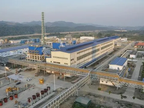 Vimico lãi hơn 2.400 tỷ đồng sau nửa năm, tài sản vượt 12.300 tỷ đồng