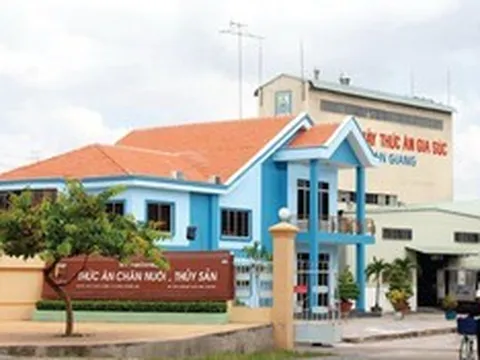 Afiex miễn nhiệm Phó Tổng Giám đốc, lên kế hoạch huy động 350 tỷ đồng