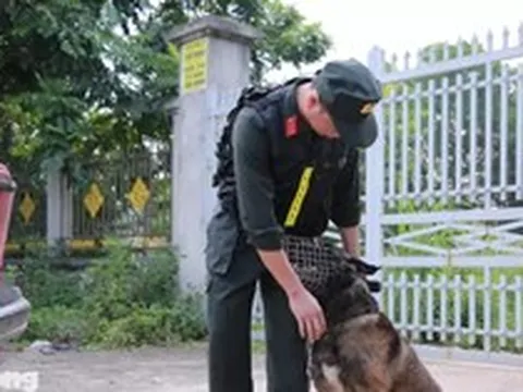 An ninh siết chặt, cảnh khuyển được huy động tại điểm thi lại ở Tuyên Quang
