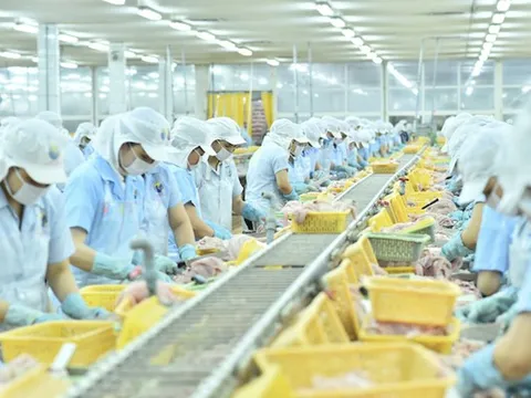 3 lần gom cổ phiếu ANV, lãnh đạo Nam Việt nâng sở hữu lên 1,18%