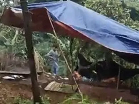Vụ nữ nhân viên thư viện trường nghi bị đồng nghiệp sát hại, chôn trong rẫy: Hiệu trưởng nói gì về nghi phạm?