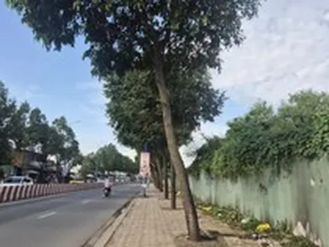 Hàng loạt sai phạm tại khu đất vàng trung tâm Đồng Nai
