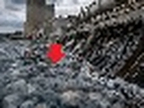 Vào cùng một ngày trong 2 năm: Nhà máy điện hạt nhân Pháp tê liệt vì hàng loạt sinh vật mềm nhũn tấn công