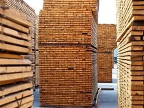 Ngành gỗ bước vào cuộc đua mới: Cạnh tranh bằng năng lực vận hành và tri thức
