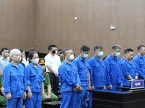Vụ ông Nguyễn Bá Hoan: Phí cấp phép 5 triệu đồng, giám đốc công ty luật thu từ 650 triệu đến 1 tỷ đồng/hồ sơ