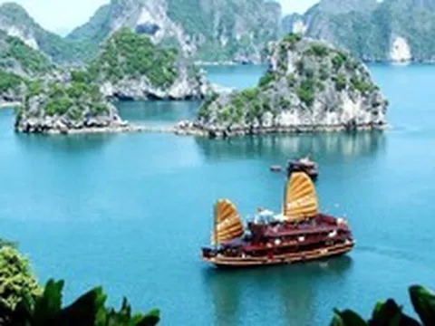 Mỗi địa điểm sẽ có mã định danh 12 chữ số, hiển thị trên VNeID