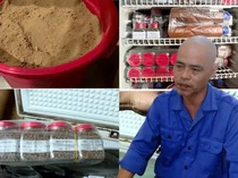Khám xét chỗ ở, bắt giữ kẻ tự xưng 'thần y' Nguyễn Văn Mạnh SN 1977