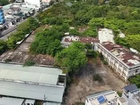 Dòng tiền đang chảy vào phân khúc bất động sản nào?