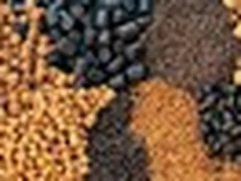 Rót 34 triệu USD xây “đại nhà máy”, “ông lớn” Trung Quốc tham vọng vươn ra Đông Nam Á