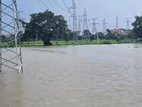 Hà Nội: Nước lũ sông Cầu dâng cao, hơn 1.600 người dân bị cô lập