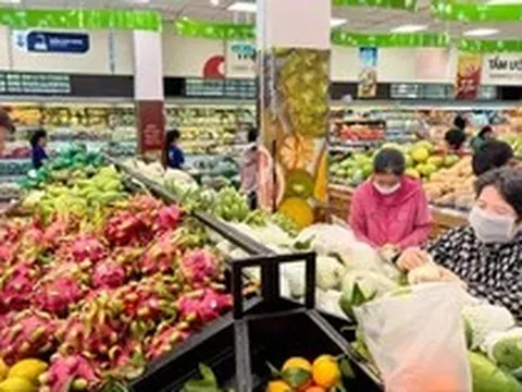 Thuế TPHCM: Hoàn thuế hơn 29.500 tỷ đồng, cao nhất cả nước