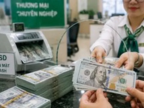 Tỷ giá USD 25/8 tại Vietcombank, VietinBank, BIDV, MB, Techcombank, ACB, Eximbank, Sacombank