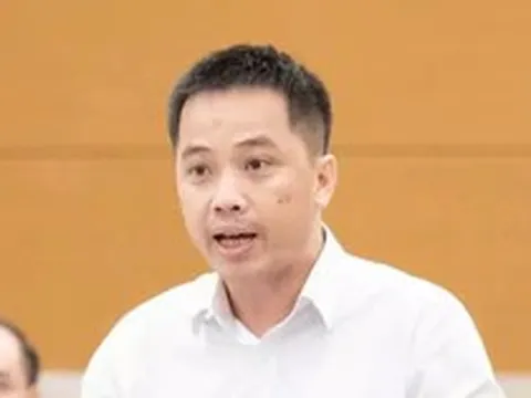 'Một hàng phở làm sao chứng minh được những con gà có hóa đơn, chứng từ?'