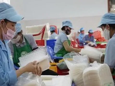 Hướng dẫn thực hiện tạm nộp thuế thu nhập cá nhân trong thời gian chờ sửa đổi quy định về phương pháp tính thuế