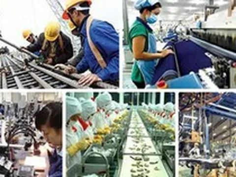 Triển khai thực hiện Kết luận số 62-KL/TW về nâng cao năng suất lao động quốc gia gắn với phát triển thị trường lao động