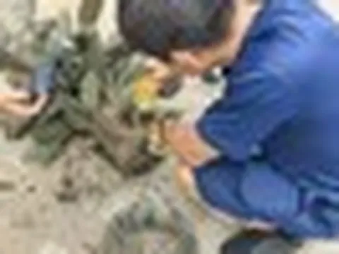 Mua chậu câu cảnh trên mạng với giá hơn 200.000 đồng, nhiều ngày sau chứng kiến cảnh tượng kinh hãi