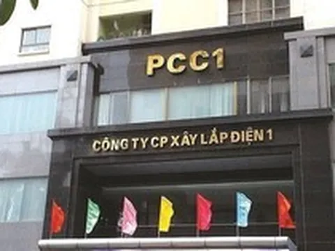 Nhóm CII tiếp tục tăng sở hữu tại công ty của nữ Chủ tịch sinh năm 1999