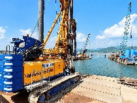 Lỗ sau thuế hơn 154 tỷ đồng, Tập đoàn Đua Fat (DFF) chỉ còn 3 nhân sự