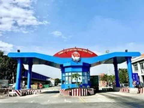 Một công ty chốt ngày trả cổ tức tiền mặt 29,5% trong tuần này