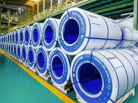 Phó Chủ tịch thường trực HĐQT Thép Nam Kim từ nhiệm