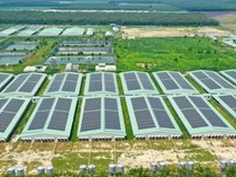 Baf Việt Nam thành lập công ty con chế biến thực phẩm tại Gia Lai
