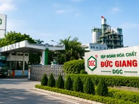 Cổ phiếu DGC có nhiều biến động trước ngày chốt quyền nhận cổ tức 80%