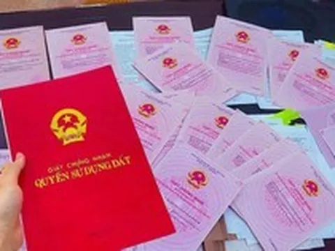 Hồ sơ đất đai bị trả nhiều lần nhưng thuê “cò” làm lại nhanh, Bộ Nông nghiệp và Môi trường yêu cầu chấm dứt