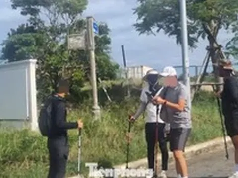 Cảnh báo việc trekking tự phát ở rừng đặc dụng Sơn Trà