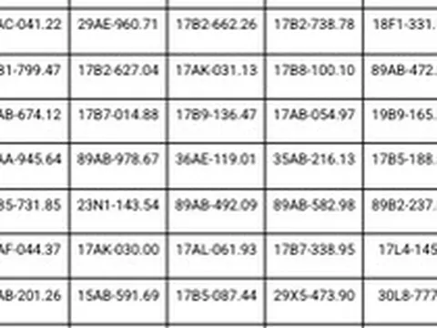 865 chủ phương tiện có biển số sau khẩn trương nộp phạt nguội theo Nghị định 168 trong danh sách mới nhất