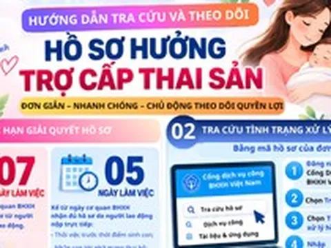Hướng dẫn tra cứu, theo dõi hồ sơ hưởng trợ cấp thai sản