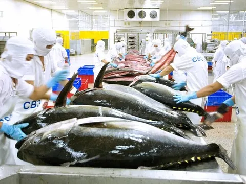 Cá ngừ của Việt Nam được ưa chuộng tại Nga, xuất khẩu tăng 72%