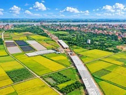 Cầu Vân Phúc vươn nhịp nối Hà Nội - Phú Thọ