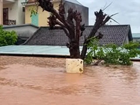 Mưa lũ bủa vây nhiều vùng Quảng Trị, hàng trăm nhà dân chìm trong 'biển nước'