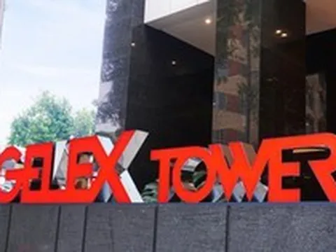 Loạt cổ phiếu “họ" Gelex giảm sàn, điều gì đang diễn ra?