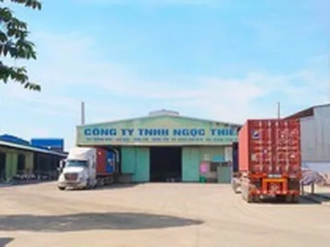 Nợ hơn 536 tỷ đồng liên quan đến thuế, một công ty có Phó Tổng giám đốc đang bị điều tra về tội lừa đảo