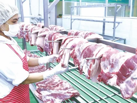 EU siết tên gọi sản phẩm thịt từ năm 2029, doanh nghiệp Việt cần làm gì?