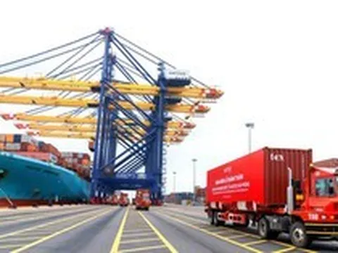 Hàng xuất khẩu không xuất khẩu, tiêu thụ trong nước phải nộp thuế tiêu thụ đặc biệt