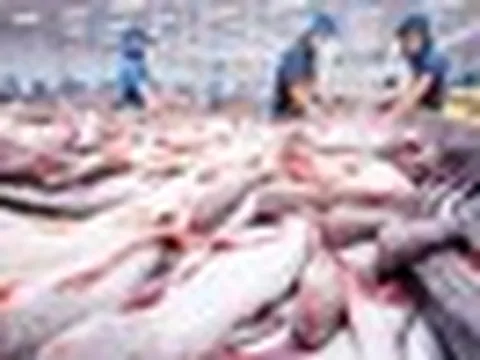Mặt hàng tỷ đô của Việt Nam gặp ‘cơn bão kép’ tại Mỹ: Xuất khẩu tháng 8 giảm gần 55%, nguy cơ chịu ‘thuế chồng thuế’