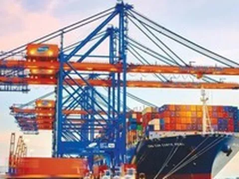 Gemadept chuẩn bị chia cổ phiếu thưởng tỷ lệ 50%