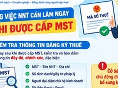 Ngay sau khi được cấp mã số thuế, người nộp thuế cần làm gì?