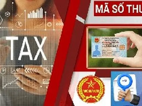 Cơ quan thuế thông báo quan trọng: Người vừa được cấp mã số thuế cần kiểm tra ngay 5 thông tin