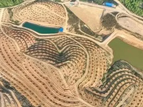 Trung Quốc thuê 500 ha đất ngay tại láng giềng Việt Nam: Rộng bằng 700 sân bóng đá, đặt cược vào một loại quả đặc biệt