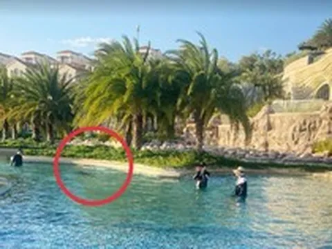 Vụ bé 11 tuổi người Nhật tử vong ở hồ bơi tại resort: Khởi tố bị can Nguyễn Quốc Quân SN 1961