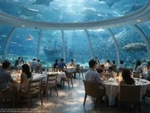 Tỷ phú Phạm Nhật Vượng đang cho xây dựng nhà hàng dưới nước lớn nhất thế giới với 1.000 chỗ ngồi tại siêu dự án 6.200ha vốn đầu tư 18 tỷ USD